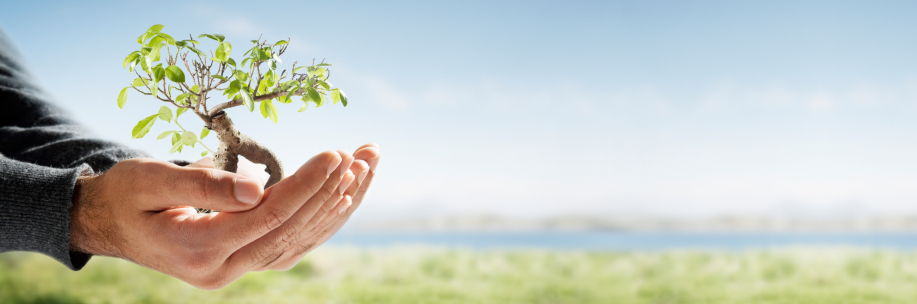 Idea Business offre consulenza qualificata negli ambiti: sistemi di gestione integrata per la sicurezza, salute e igiene sul luogo di lavoro, sorveglianza sanitaria e analisi ambientali, qualità, sicurezza informatica, business process re-engineering, budgeting, controllo di gestione, marketing, certificazioni volontarie (qualità prodotto, etica, ambientale)